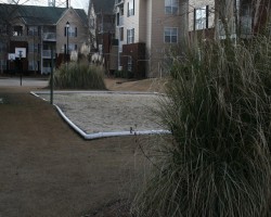 Volleyball and basketball courts